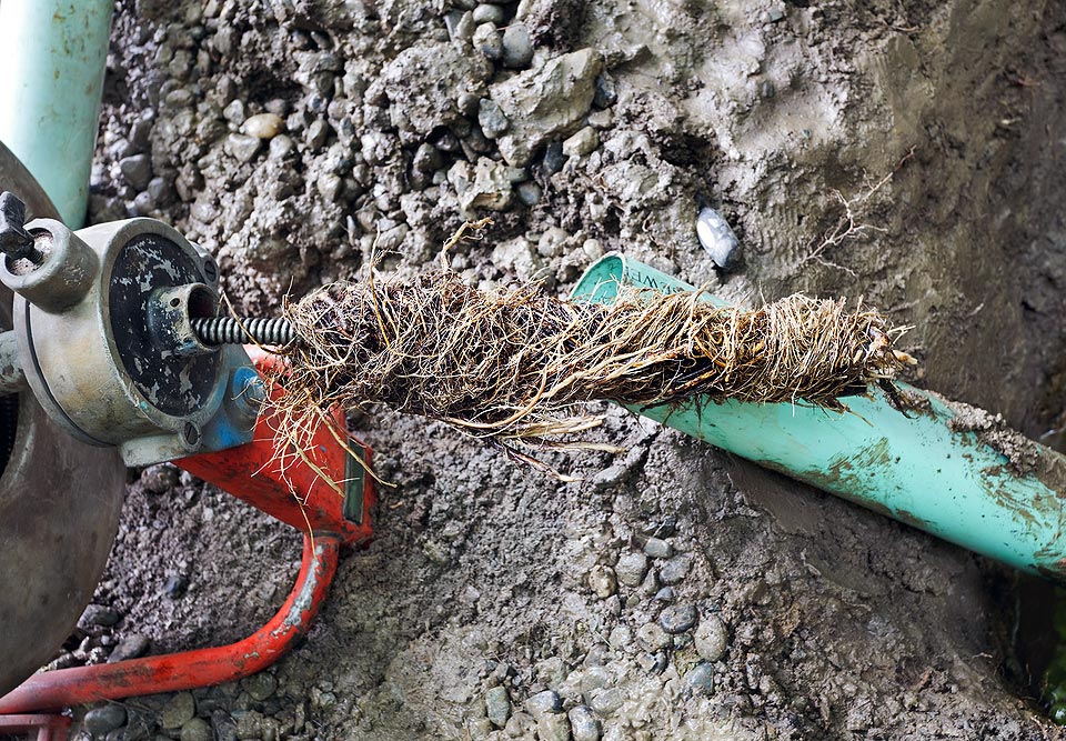 What Happens When a Plumber in Brooklyn NY Finds a Tough Clog?