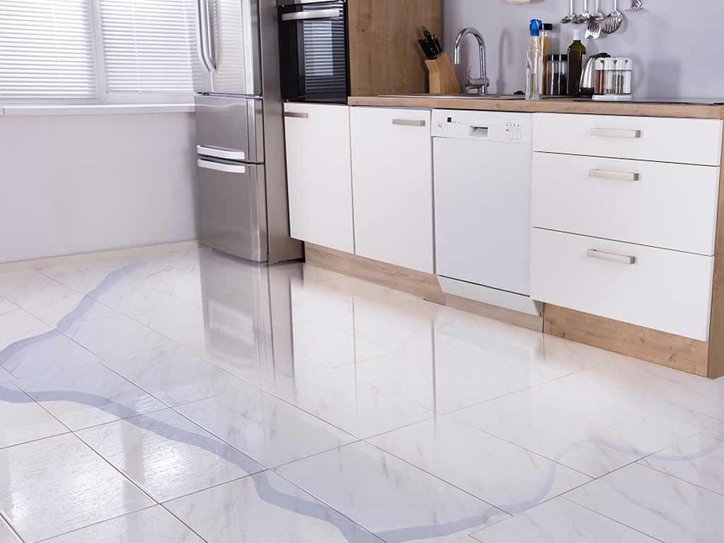 Detect Water Leaks In Residential Buildings Kitchen