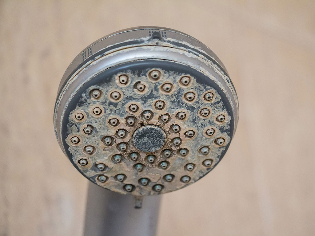 Hard Water Buildup Plumbing Issues Shower Head Buildup