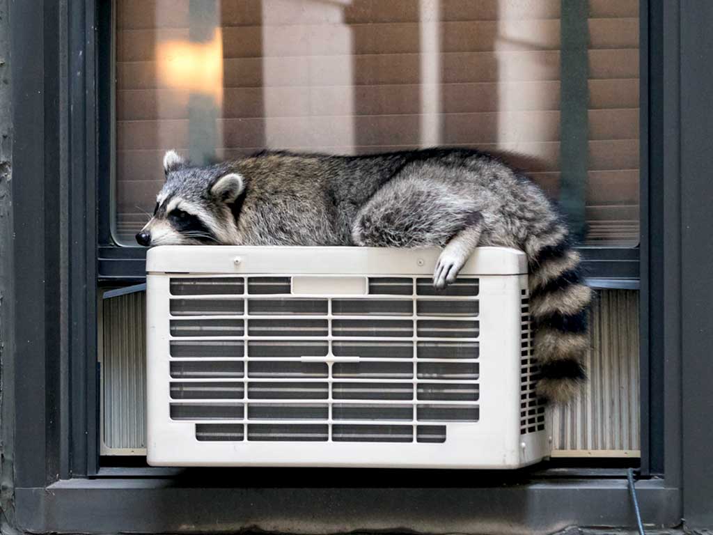 Ditch Your Window Air Conditioner For New York City Central Cooling