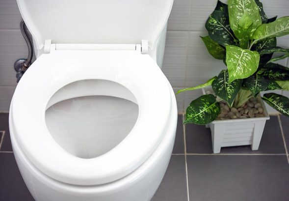 Running Toilet Brooklyn Plumbing Fixtures